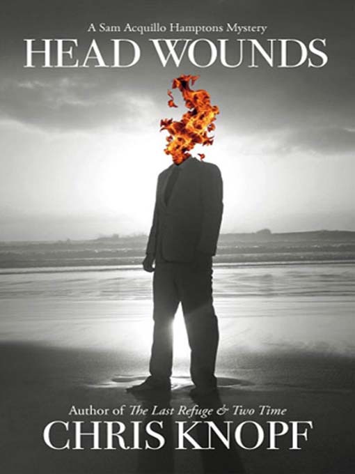 Title details for Head Wounds by Chris Knopf - Wait list